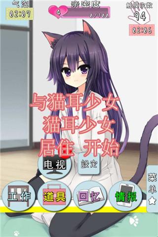猫耳少女游戏下载,猫耳少女,养成游戏,模拟游戏